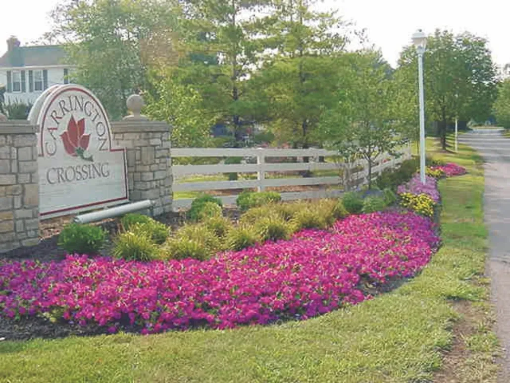 A park with flowers and trees in the background.